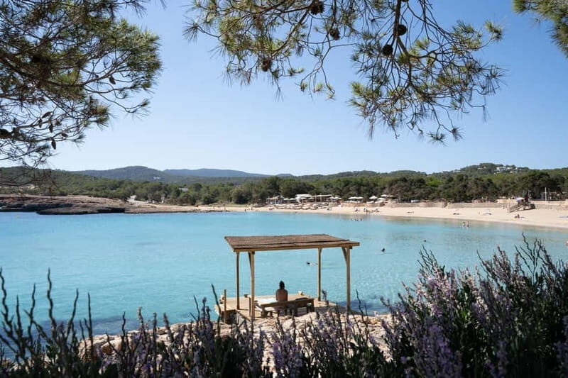 From Sant Antoni: round trip by boat to Cala Conta or Cala Bassa - Is This Tour Worth It?