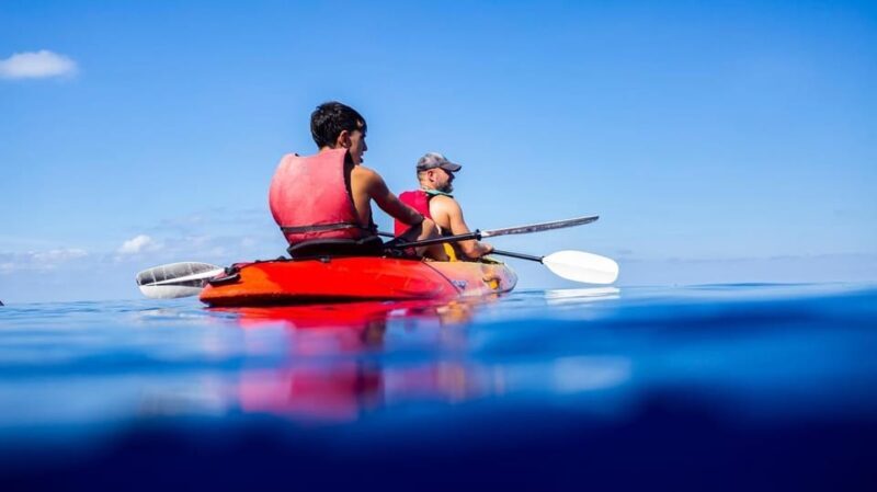 From Sant Elm: kayak tour into the sunset - picnic included - Who Should Consider This Tour?