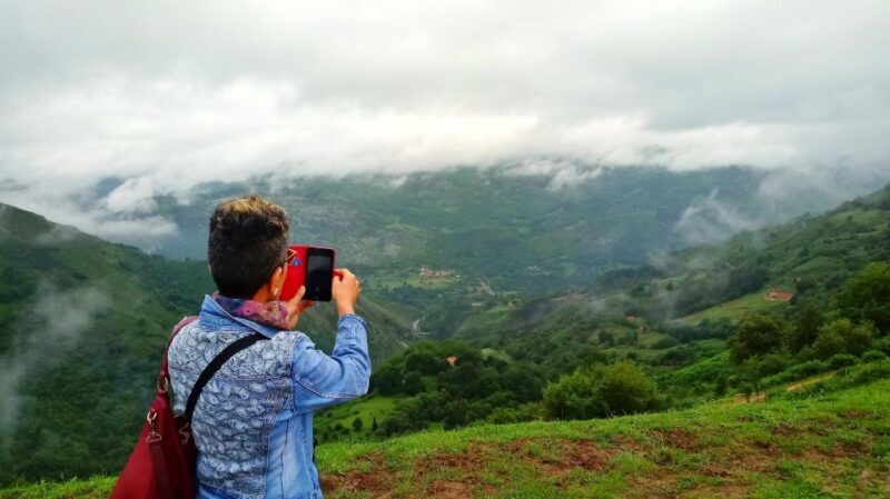 From Santander: Cantabria Private Tour - Authentic Feedback from Travelers