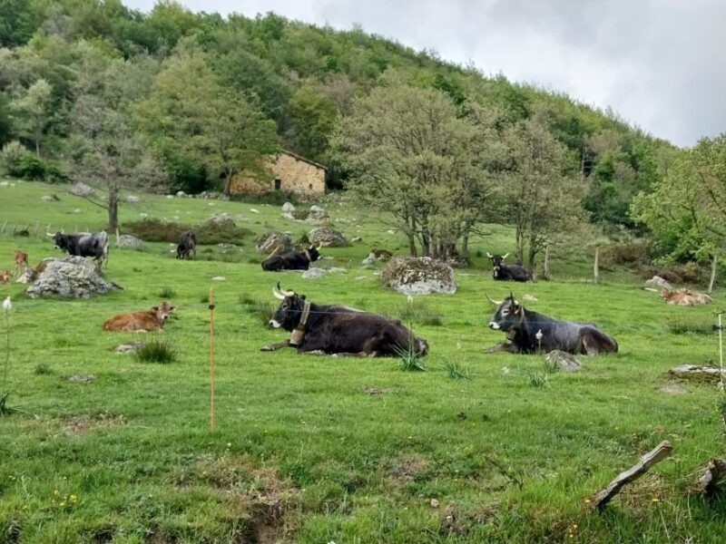 from Santander: Fascinating Saint Sebastian of Garabandal - Final Thoughts