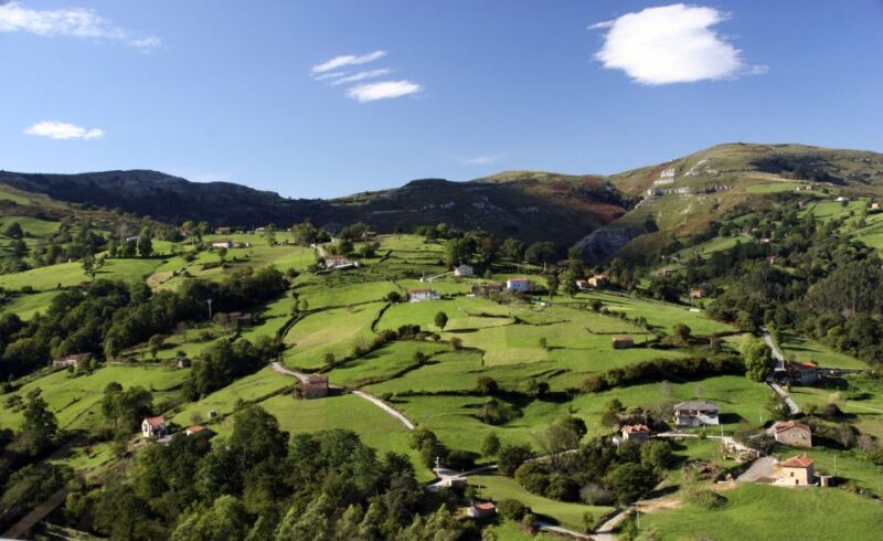 From Santander: Gastronomic Tour - Exploring Cantabria’s Gastronomic Delights