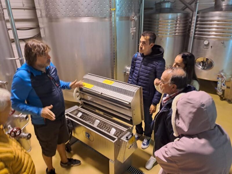 From Santander: Gastronomic Tour - What Reviewers Are Saying