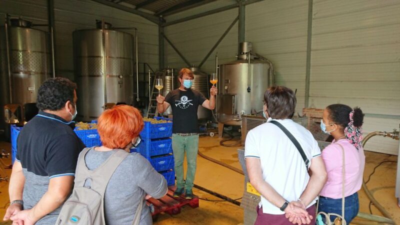 From Santander: Gastronomic Tour - Why This Tour Is a Great Choice