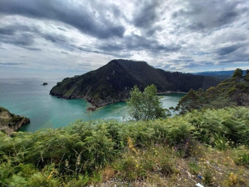 From Santander or Torrelavega: Soplao Cave Excursion - FAQ