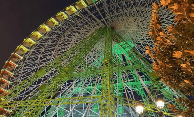 From Santiago: Christmas Lights of Vigo And Pontevedra - An In-Depth Look at the Tour Experience