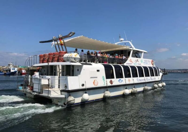 From Santiago: Rías Baixas Tour with boat trip and winery - Who Should Consider This Tour?