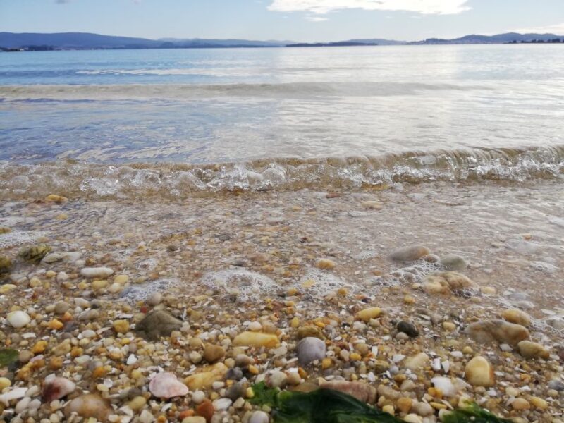 From Santiago: Tour Rias Baixas, Isla de Arousa y Combarro - Authenticity and Value