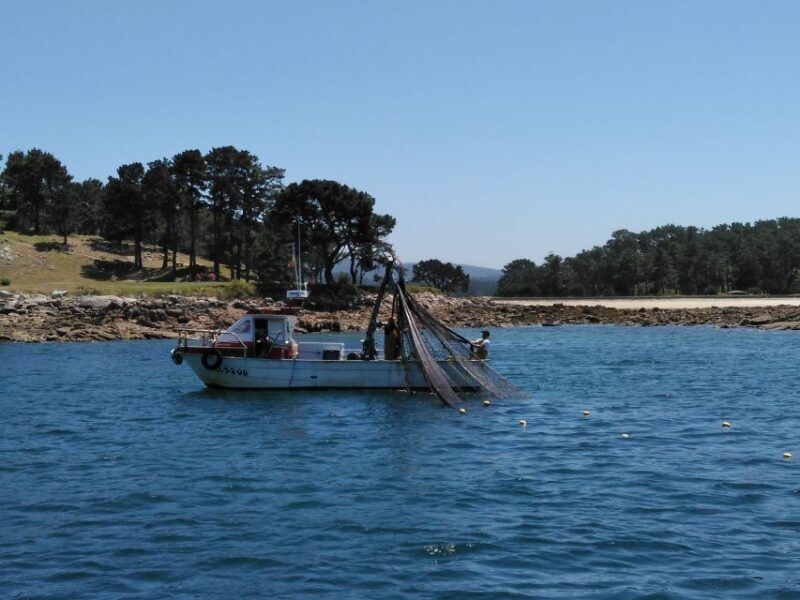 From Santiago: Tour Rias Baixas, Isla de Arousa y Combarro - Suitability and Recommendations