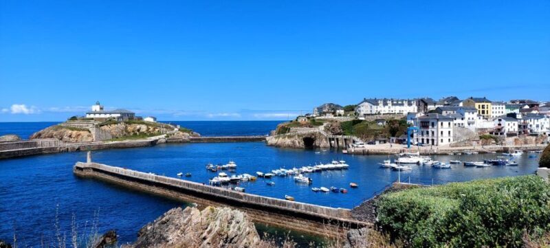 From Santiago: Tour to Cathedral Beach, Asturias, and Pancha - An In-Depth Look at the Tour Experience