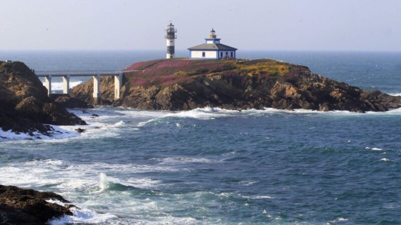 From Santiago: Tour to Cathedral Beach, Asturias, and Pancha - Authentic Insights from Reviews