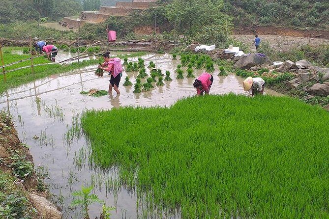 From Sapa: 2 Day Tour Through Villages and Countryside - The Sum Up: Is It Worth It?