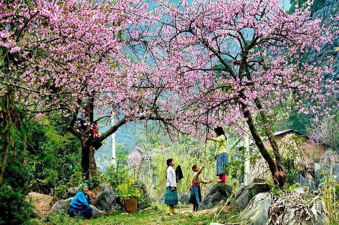 From Sapa: 2 Days Trekking Tour With Local Guide - Key Points