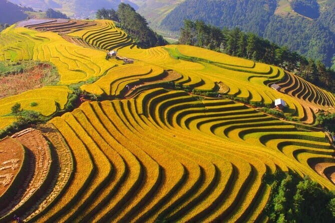 From Sapa to Dien Bien Phu Highlights Historical Day Tour - Practical Tips for Making the Most of Your Tour