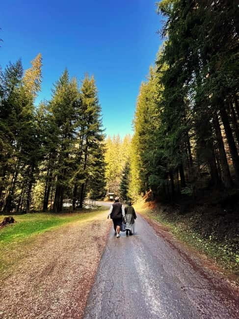 From Sarajevo: Bijambare Caves and Nature Park - Scenic Views and Wildlife