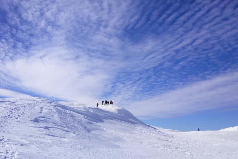 From Sarajevo: Mount Jahorina Snowshoeing Tour - Key Points