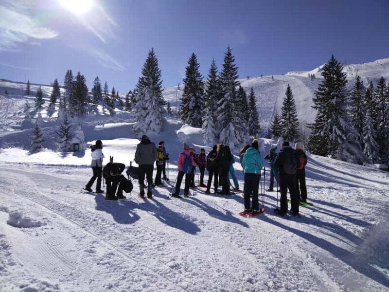 From Sarajevo: Mount Jahorina Snowshoeing Tour - Included and Not Included: Whats Worth It?