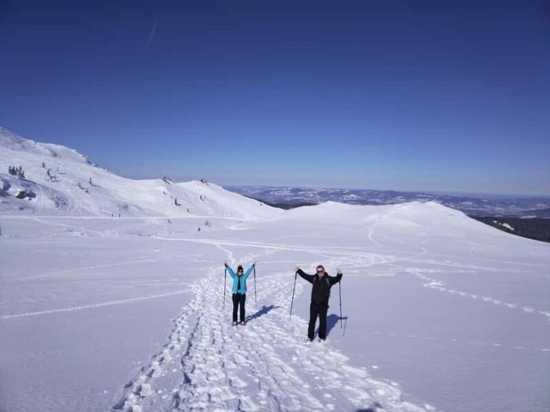 From Sarajevo: Mount Jahorina Snowshoeing Tour - Who Will Love This Experience?
