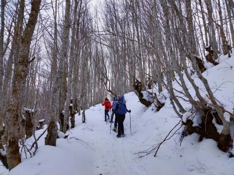 From Sarajevo: Mount Jahorina Snowshoeing Tour - The Sum Up