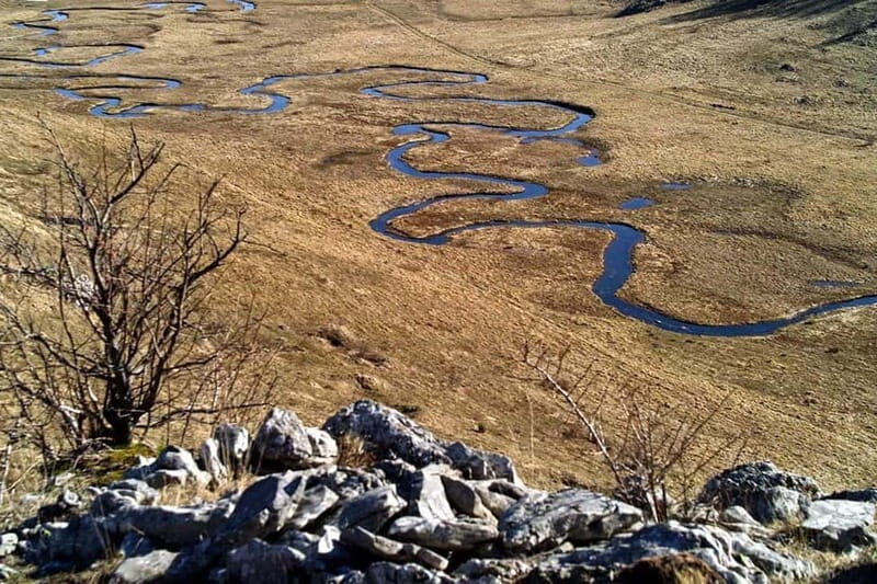 From Sarajevo to Umoljan, Bilici Lake & Bosnian Food Tasting - The Heart of the Experience: Bosnian Food and Local Culture