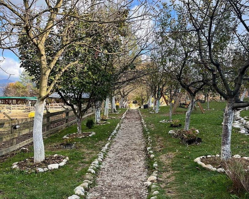 From Sarajevo: Visoko Pyramids, Plantations & Horse Riding - A Day of Contrasts: History and Nature in Bosnia