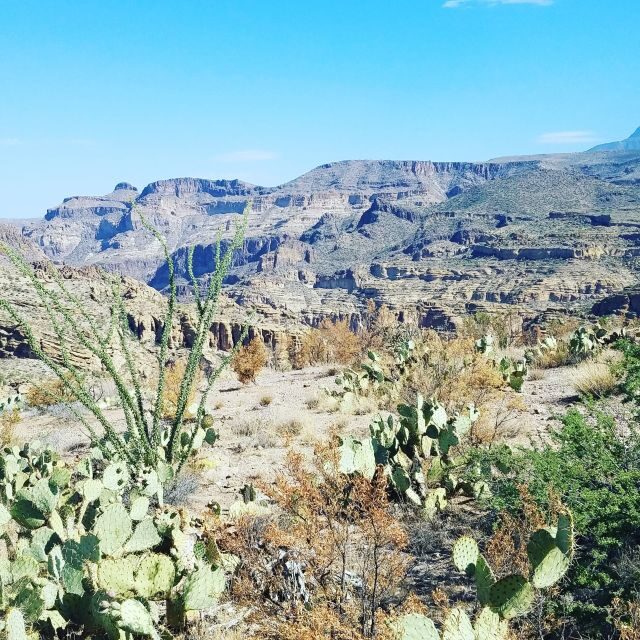 From Scottsdale/Phoenix: Apache Trail Day Tour - Who Is This Tour Best For?