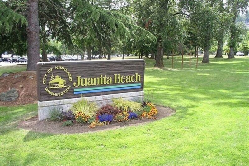 From Seattle: 5-hour Seattle and Suburbs Attractions Tour - A Detailed Look at the Tour Experience