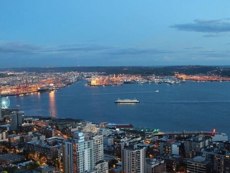 From Seattle: 5-hour Seattle and Suburbs Attractions Tour - Who Should Consider This Tour?
