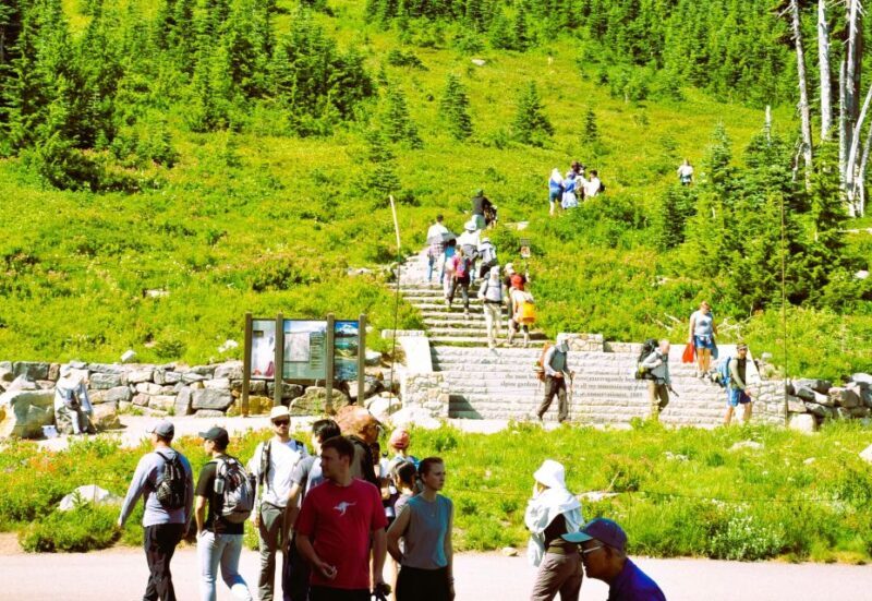 From Seattle: Customized Mount Rainier Tour - Who Is This Tour Best For?