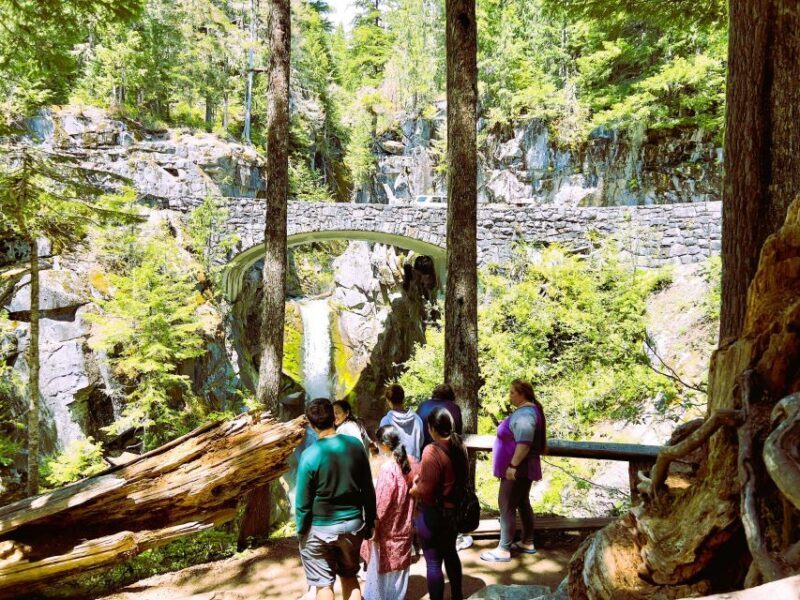 From Seattle: Customized Mount Rainier Tour - An In-Depth Look at the Experience