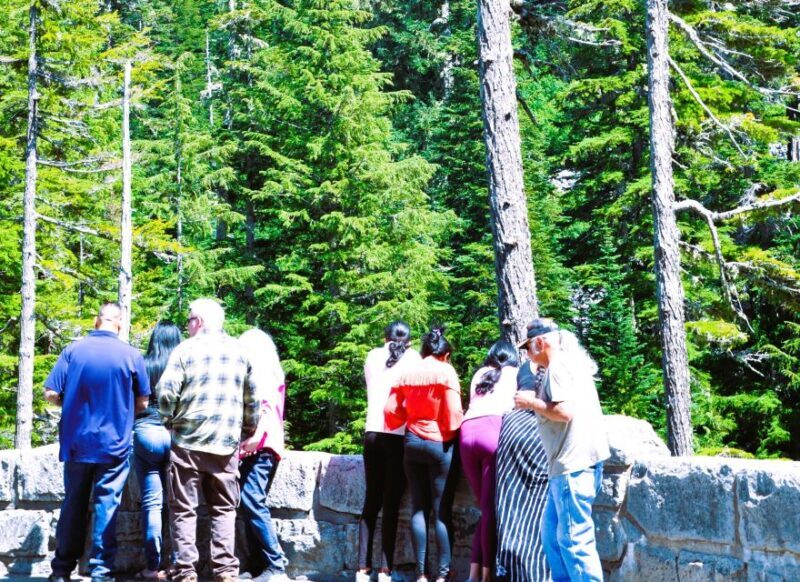 From Seattle: Customized Mount Rainier Tour - FAQ