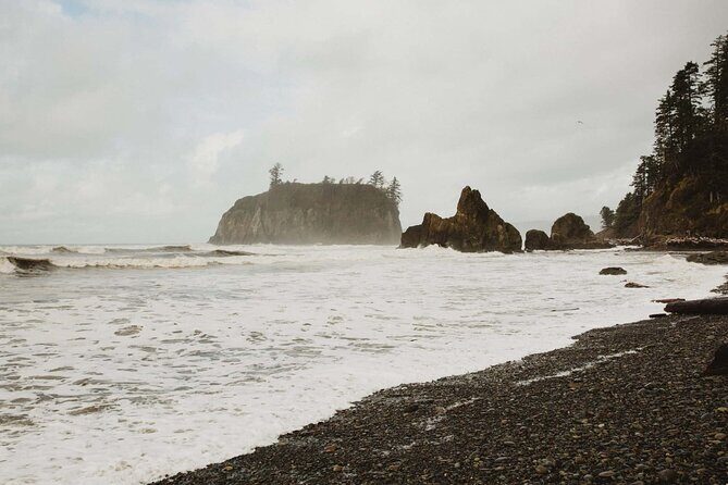 From Seattle Hoh rain forest and Olympic National Park Highlight - Who Would Love This Tour?
