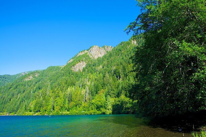 From Seattle Hoh rain forest and Olympic National Park Highlight - Frequently Asked Questions