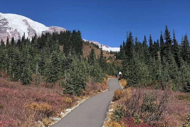From Seattle: Mount Rainier National Park 1-Day Tour - From Seattle: Mount Rainier National Park 1-Day Tour — A Complete Guide