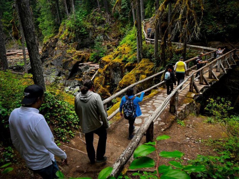 From Seattle: Mount Rainier National Park Guided Tour - Highlights of the Tour