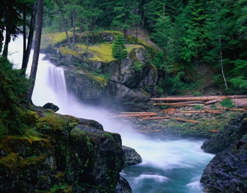 From Seattle: Mount Rainier National Park Guided Tour - Guided Expertise and Tour Value