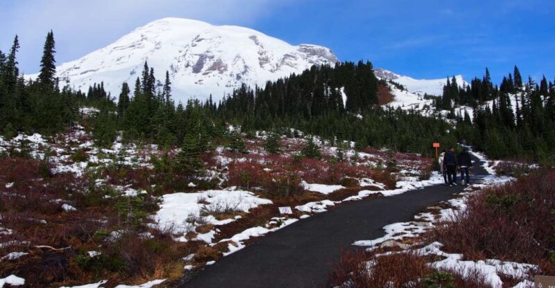 From Seattle: Mount Rainier National Park Guided Tour - Practical Tips for the Trip