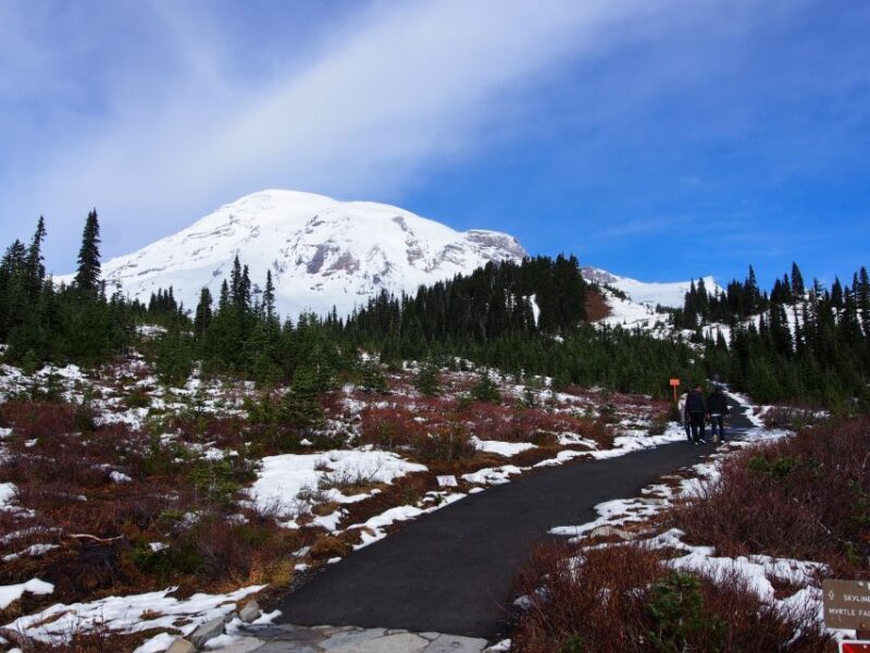 From Seattle: Mount Rainier National Park Guided Tour - Key Points