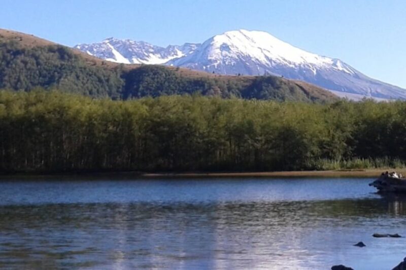 From Seattle: Mount Saint Helens Monument Private Day Trip - The Value of this Experience