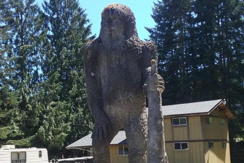 From Seattle: Mount Saint Helens Monument Private Day Trip - Who Is This Tour Best Suited For?