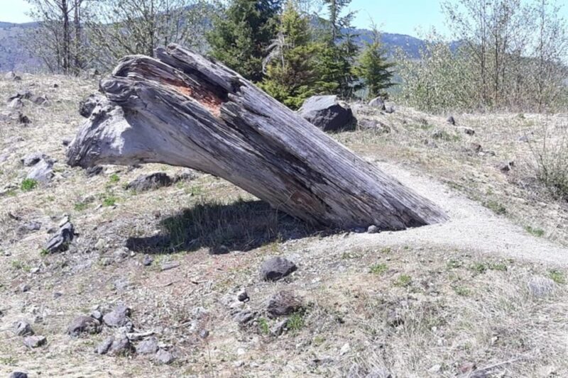 From Seattle: Mount Saint Helens Monument Private Day Trip - Frequently Asked Questions