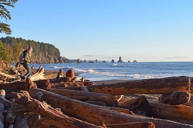 From Seattle Private Hoh Rain Forest and Rialto Beach Tour - The Sum Up: Who Will Love This Tour?