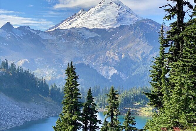 From Seattle - Private Mt Baker and Cascades Tour in SUV - Comfort and Convenience in Transport