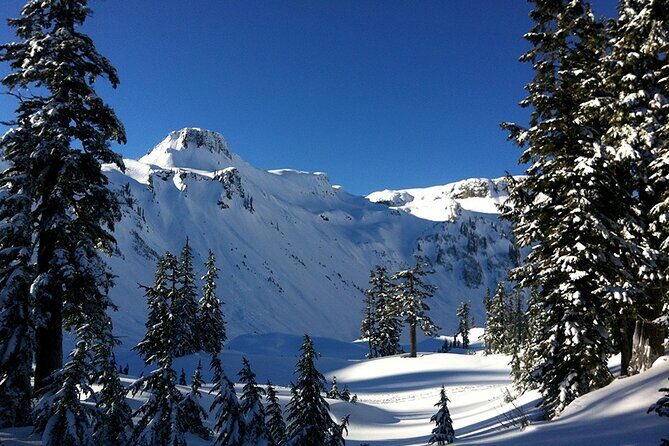 From Seattle - Private Mt Baker and Cascades Tour in SUV - The Experience of the Guide