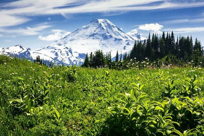 From Seattle - Private Mt Baker and Cascades Tour in SUV - Cost and Value