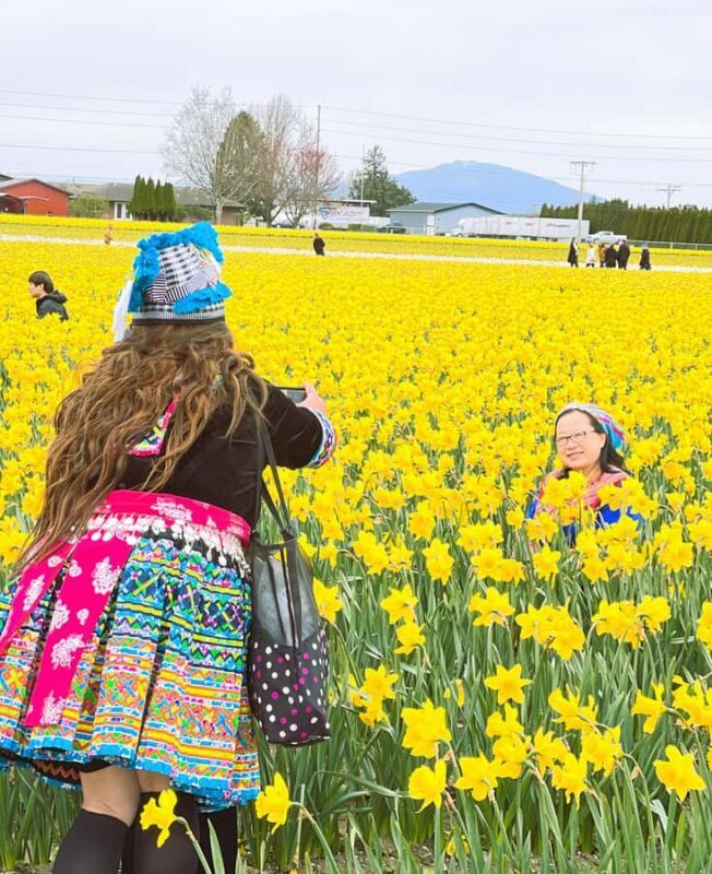 From Seattle: Tour of Skagit Valley Tulip Festival - Key Points