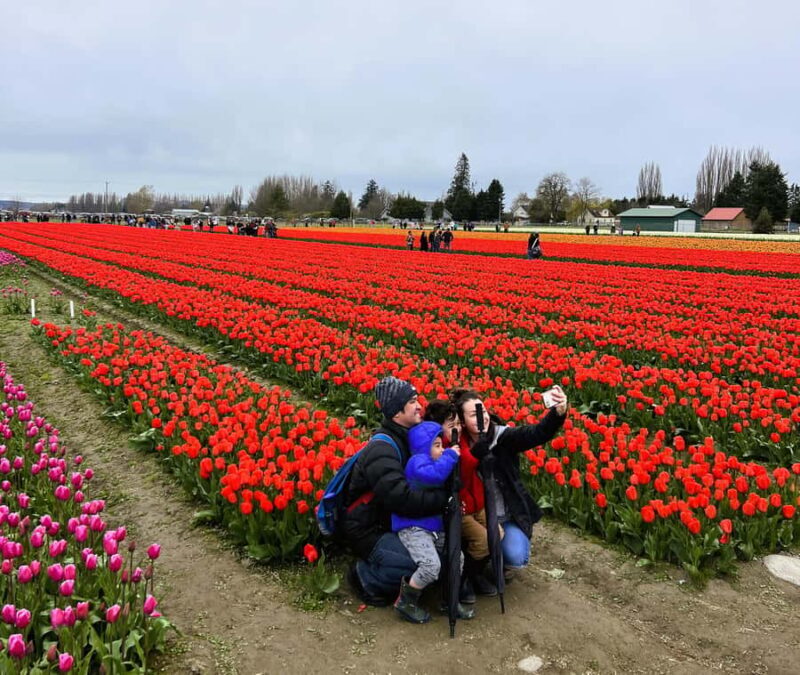From Seattle: Tour of Skagit Valley Tulip Festival - FAQ