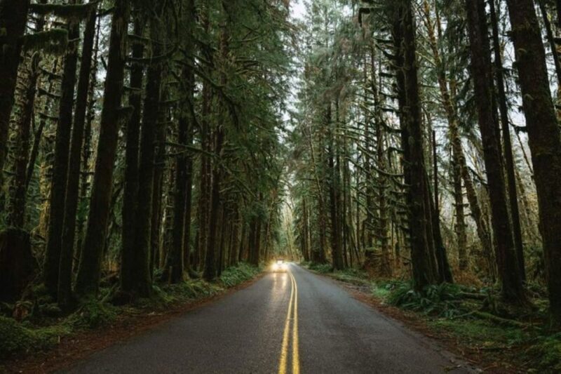 From Seattle: Twilight Forks Washington Tour - Exploring the Itinerary: What You Can Expect