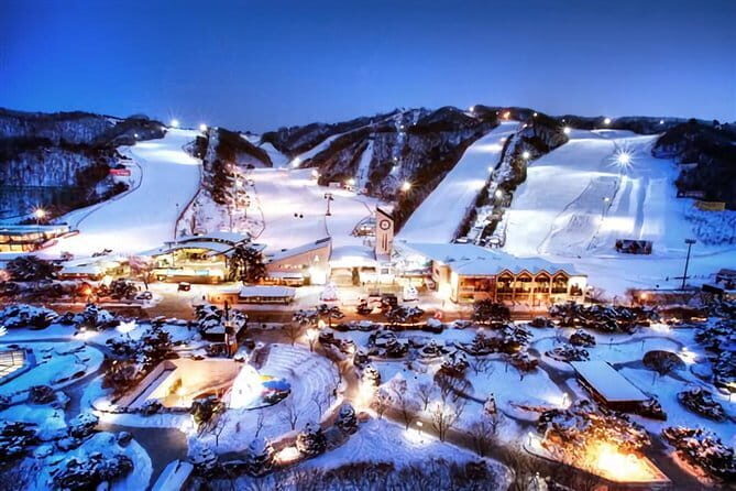 From Seoul: Elysian Gangchon : Ski Pro Lesson Package - Who Is This Tour Best For?