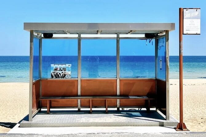 From Seoul: Private Day Tour to Gangneung - The Sum Up: Who Will Love This Tour?