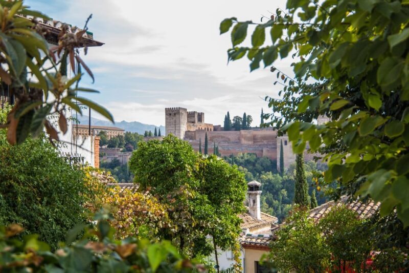 From Seville: Alhambra & Albaicín Private Tour - Authentic Insights from Reviews